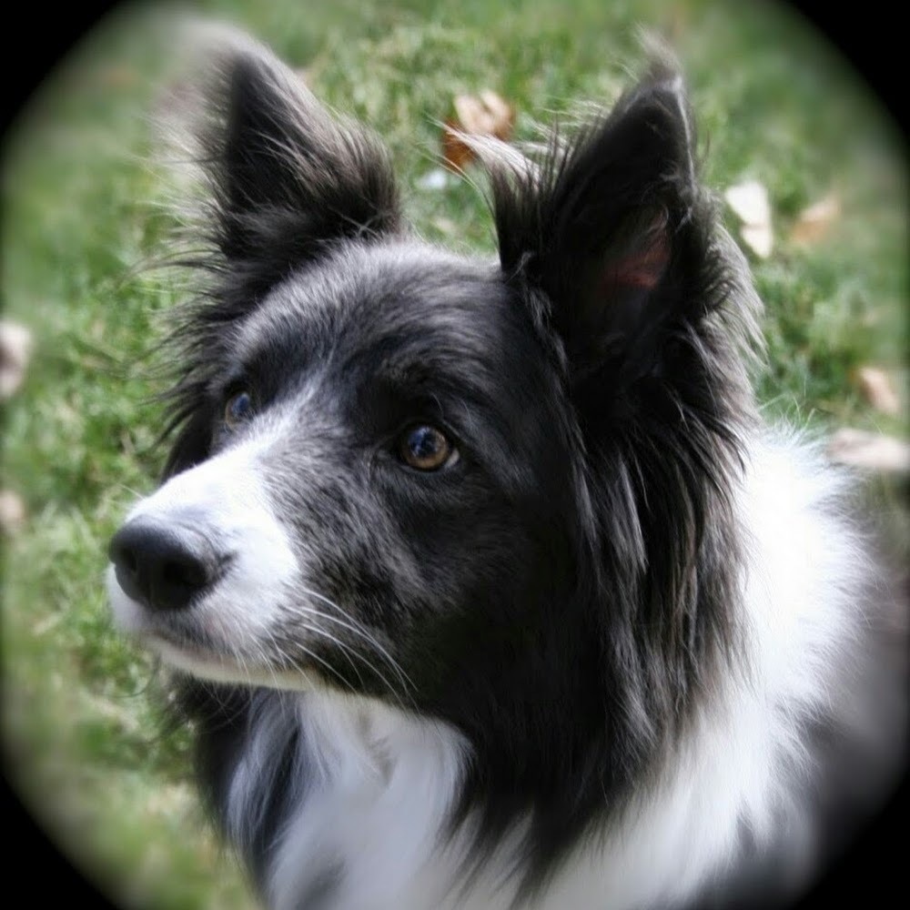 Meet your Posher, Sandie